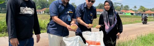 BULOG pastikan serap gabah petani sesuai arahan pemerintah serta mendukung Program KDMP dan MBG. – OKTOBER 2025